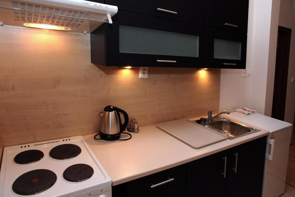 Rekreacny Dom Vyhne Apartment ห้อง รูปภาพ